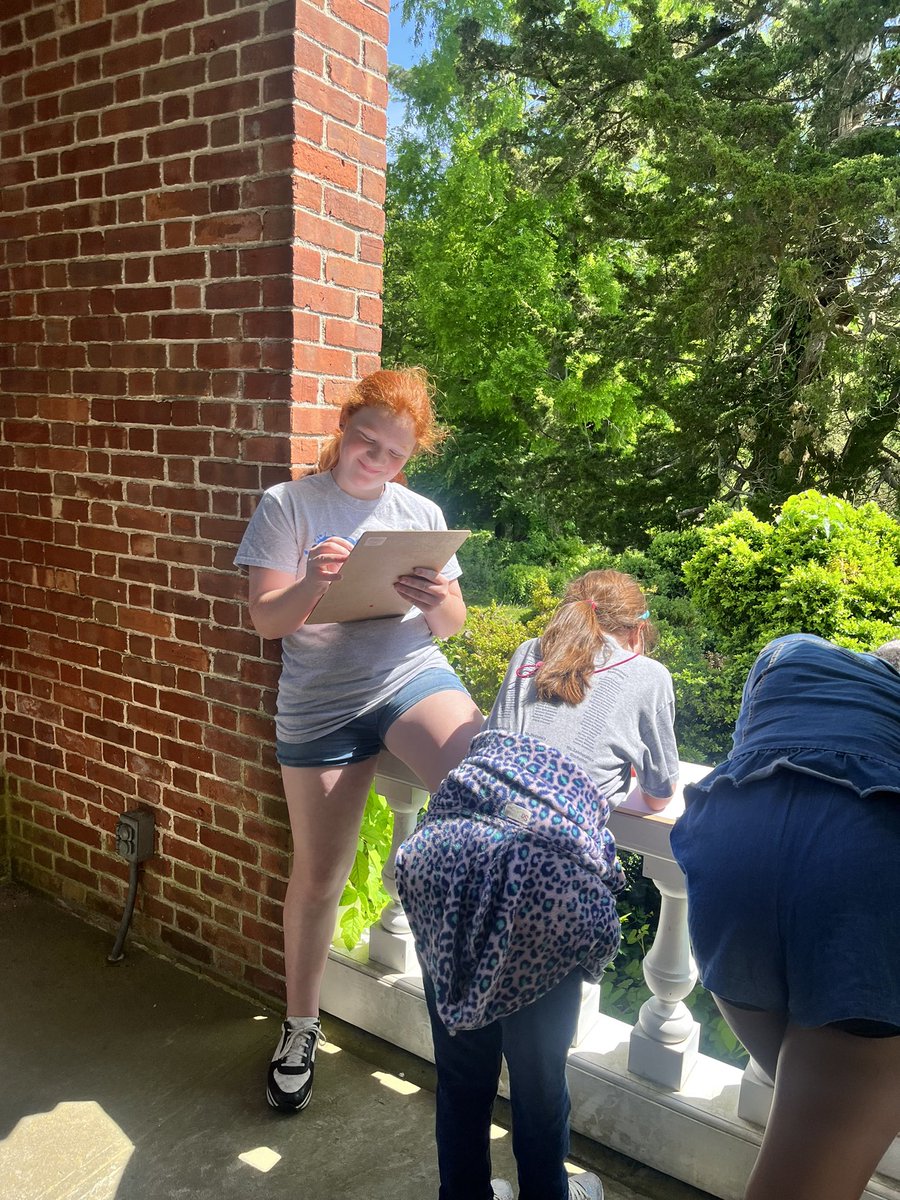 Mrs. Macaluso tweet media