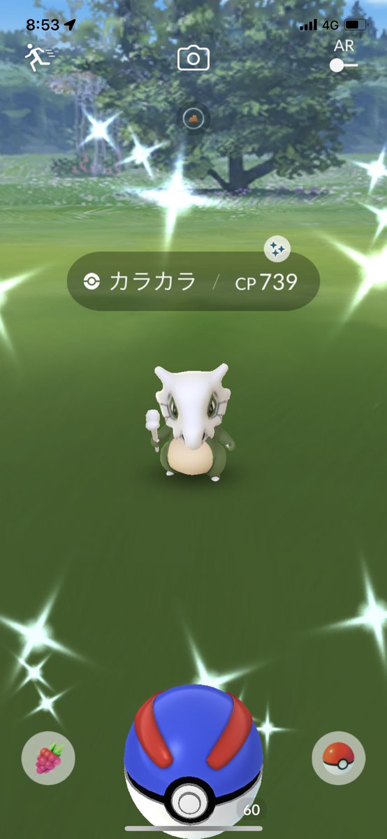 カラカラ 画像 最新情報まとめ みんなの評価 レビューが見れる ナウティスモーション 2ページ目