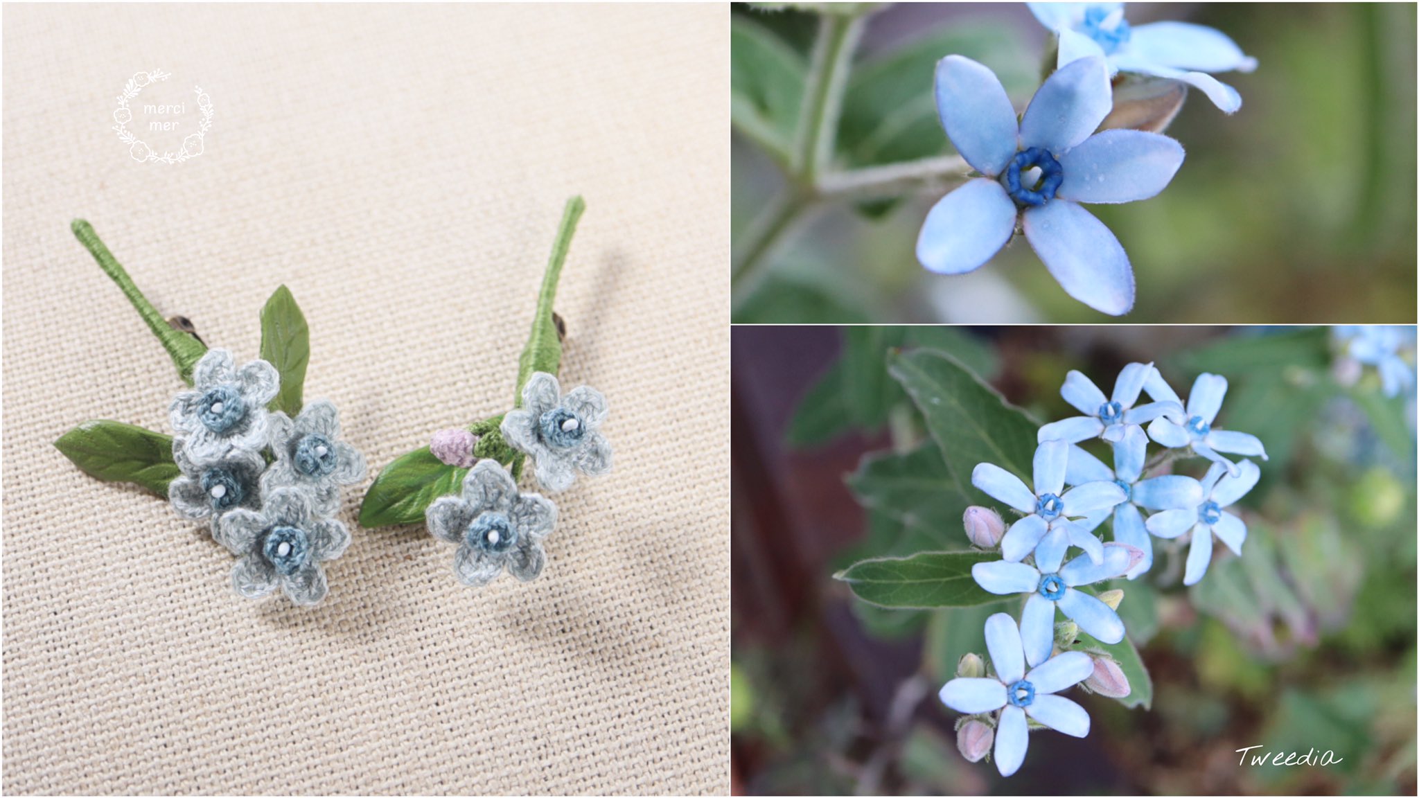Mercimer メルシメル ブルースター が咲く季節 庭のブルースターもいきいきと 花言葉 幸福な愛 刺繍糸と革でつくる 季節の花のブローチです ブルースター オキシペタラム 花 ガーデニング ハンドメイド かぎ針編み 編み物 革