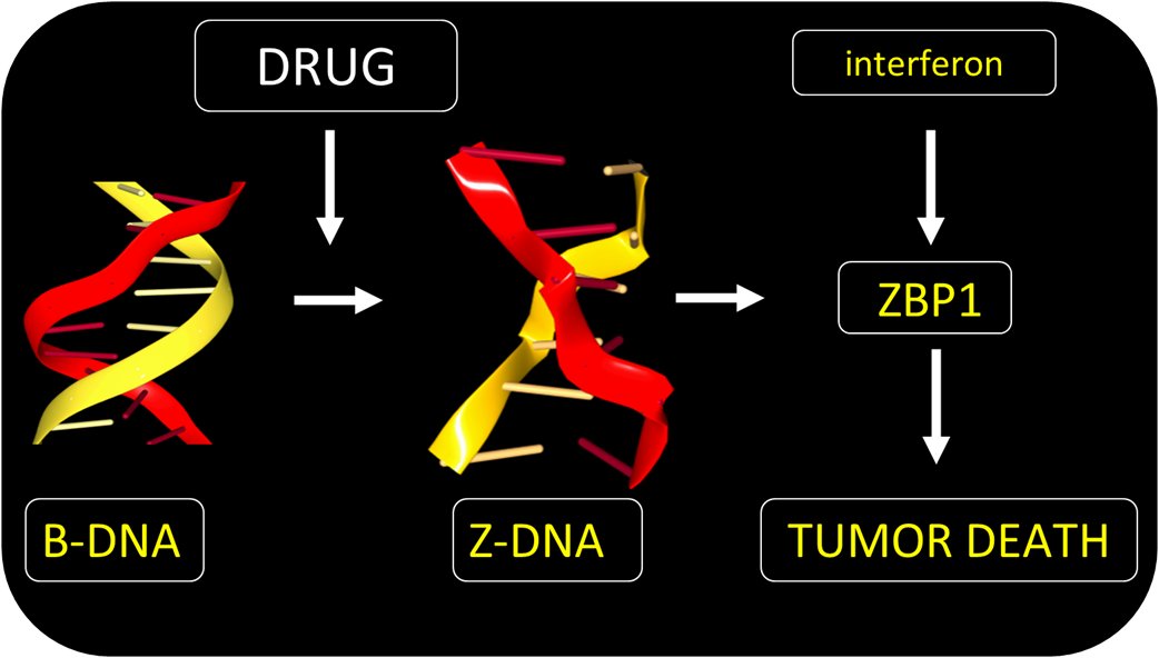 insideoutbio tweet media