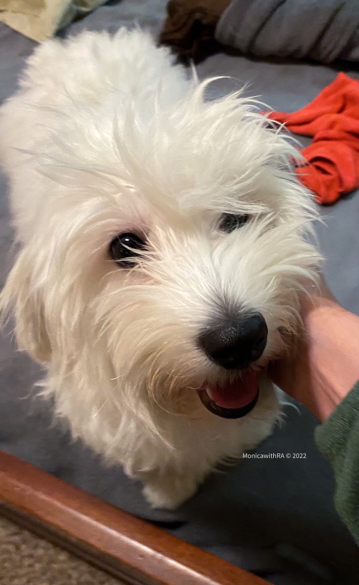 Made with adobe.com/go/psx