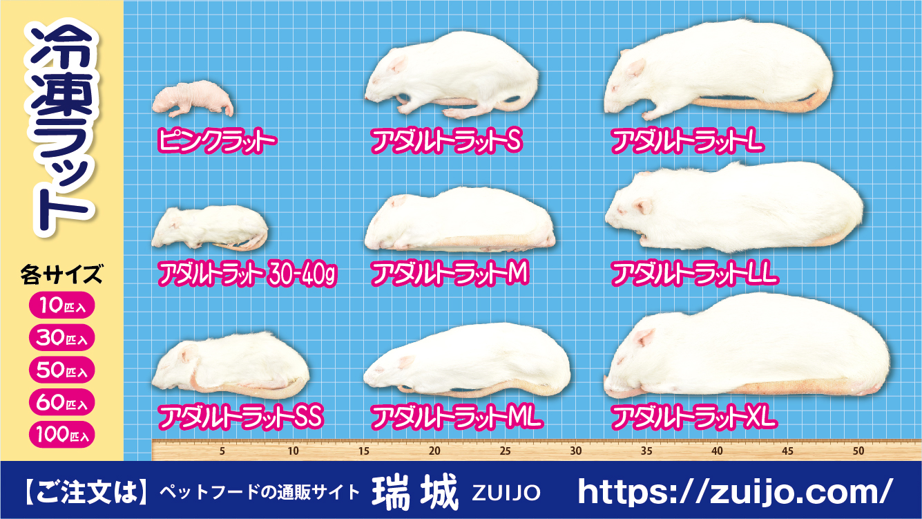冷凍マウス・ラット各種