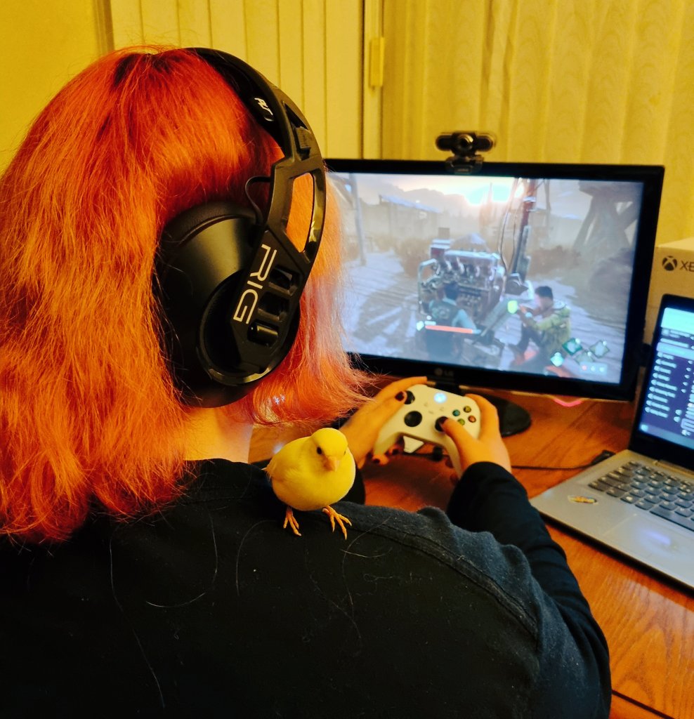 KhaoticKelpie's tweet photo. Just those moments when your wee bird just likes to chill while you game 😂❤️ #twitchstreamer #twitchaffiliate #birdsoftwitch #DeadbyDaylight #ThatWasntDwightMove #Xbox https://t.co/dgqfZw7ulF