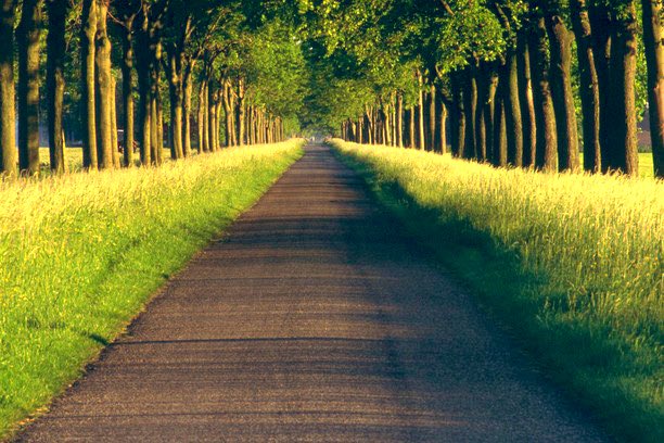 ‘The track of to-day had the same features as the track of yesterday’ (American Notes).