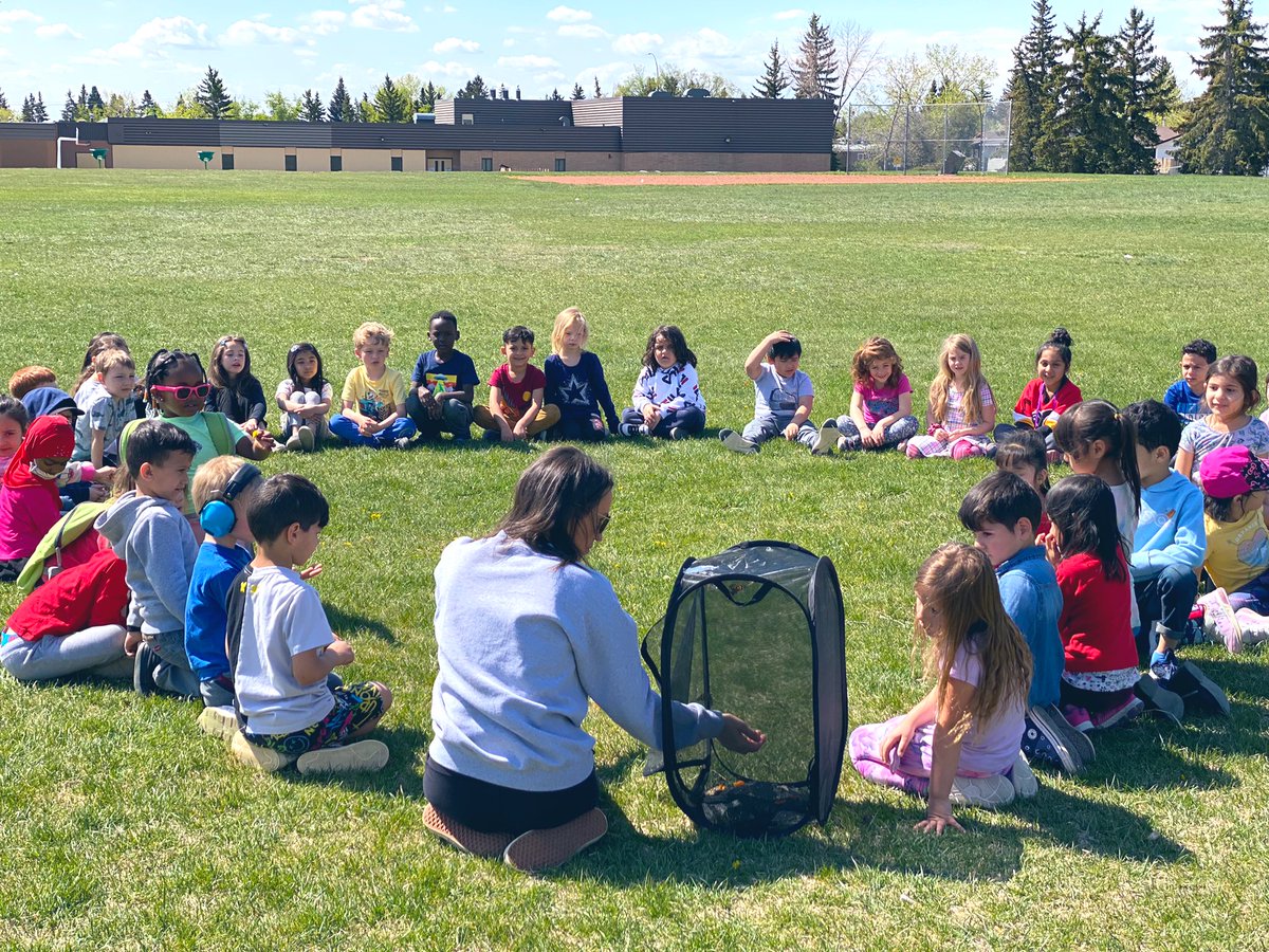 Growing and releasing butterflies taught us about the concepts of life cycle and metamorphosis in nature 🐛🦋🧡
