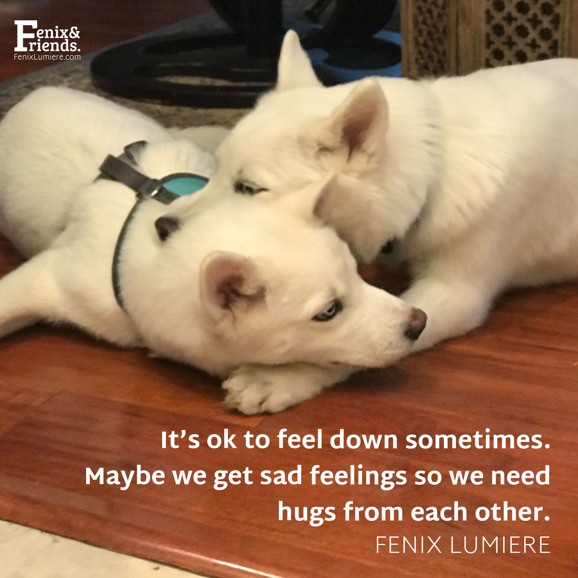 Fenixlumiere Ok Who Needs A Hug Let Us Know And Know Let S All Love And Hug On Each Other I Love You Thanks For Being Here Xoxoxo Love Yourhappycoach