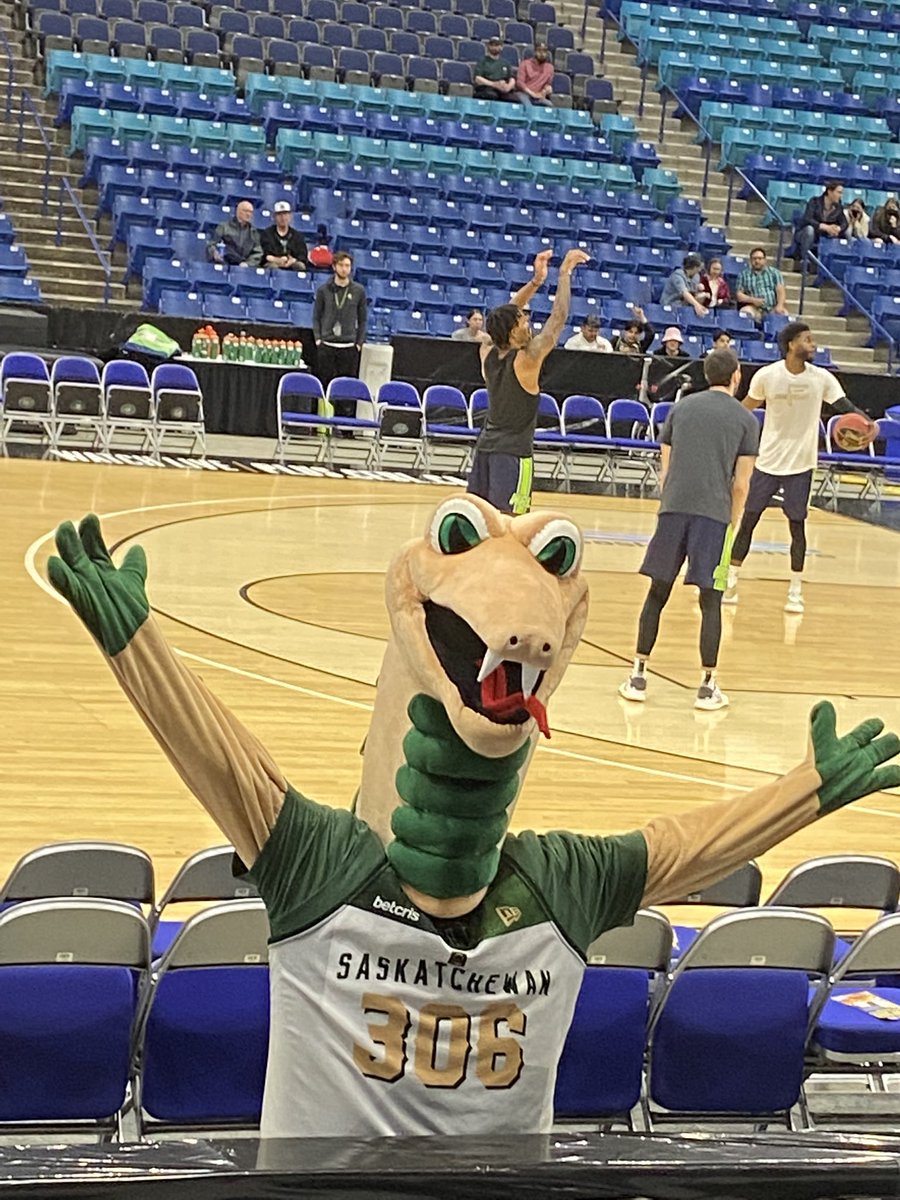 JLebsack's tweet photo. I’m so excited for date night with my honey @SaskTelCtr to watch my first @SASK_Rattlers game. 🤩♥️🏀🐍 #FEARTHEFANG #Letsball #feelthebite https://t.co/Q3ehIPKZbe