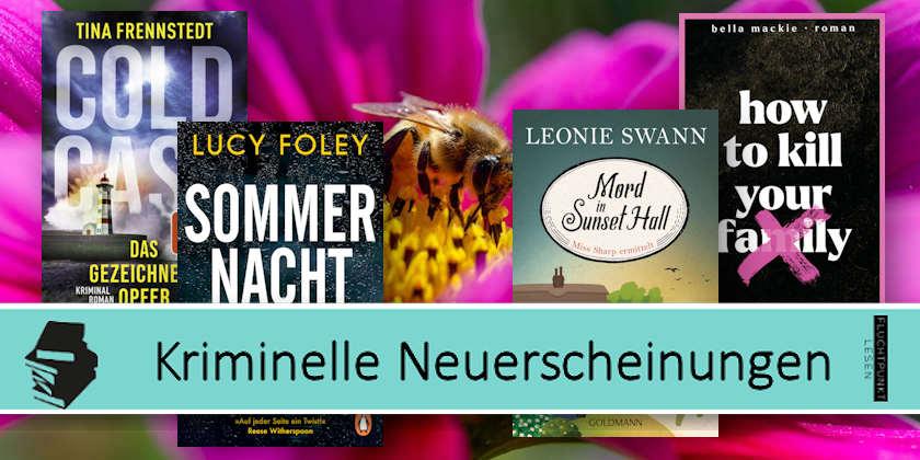 lady_saphira's tweet photo. Neu im Juni 2022 (11) https://t.co/04mCOz6jTE https://t.co/sdmfCk8SRf