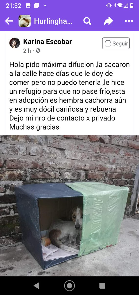 ALEXIANA777's tweet photo. Esta chiquita se muere de frío en la calle 💔💔😢😢😢💔💔💔 #Hurligham @soyleomontero @HCastraciones @MujeresFRHur https://t.co/GuyhFvoChR