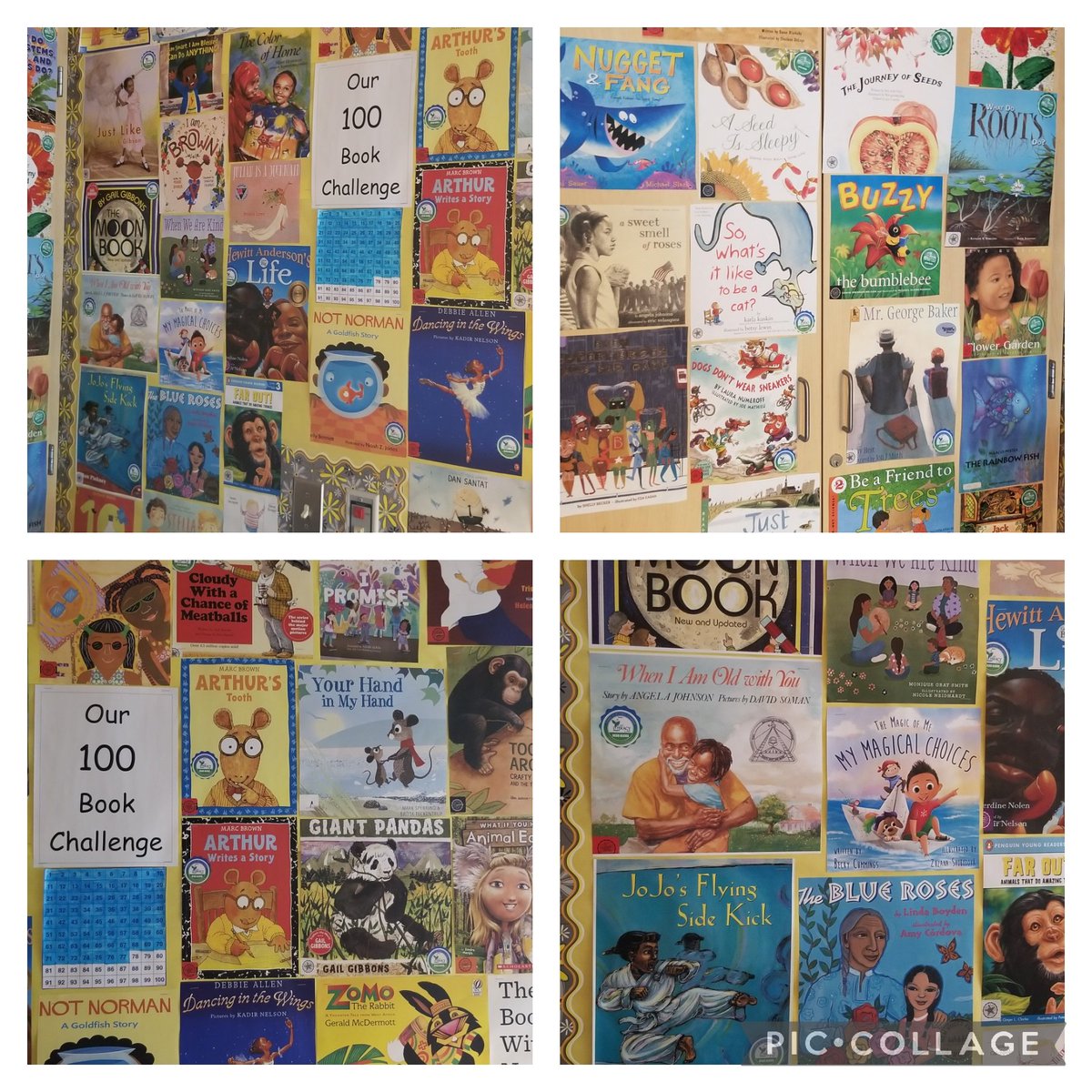 AHubbard1481's tweet photo. My students are so excited!  We are so close to meeting our 100 Book Challenge. They did the math and have asked for 2 read alouds every day, so we can make our goal. @MidwayMustang @HighlineSchools @SuptEnfield https://t.co/IUVmQmiY8B