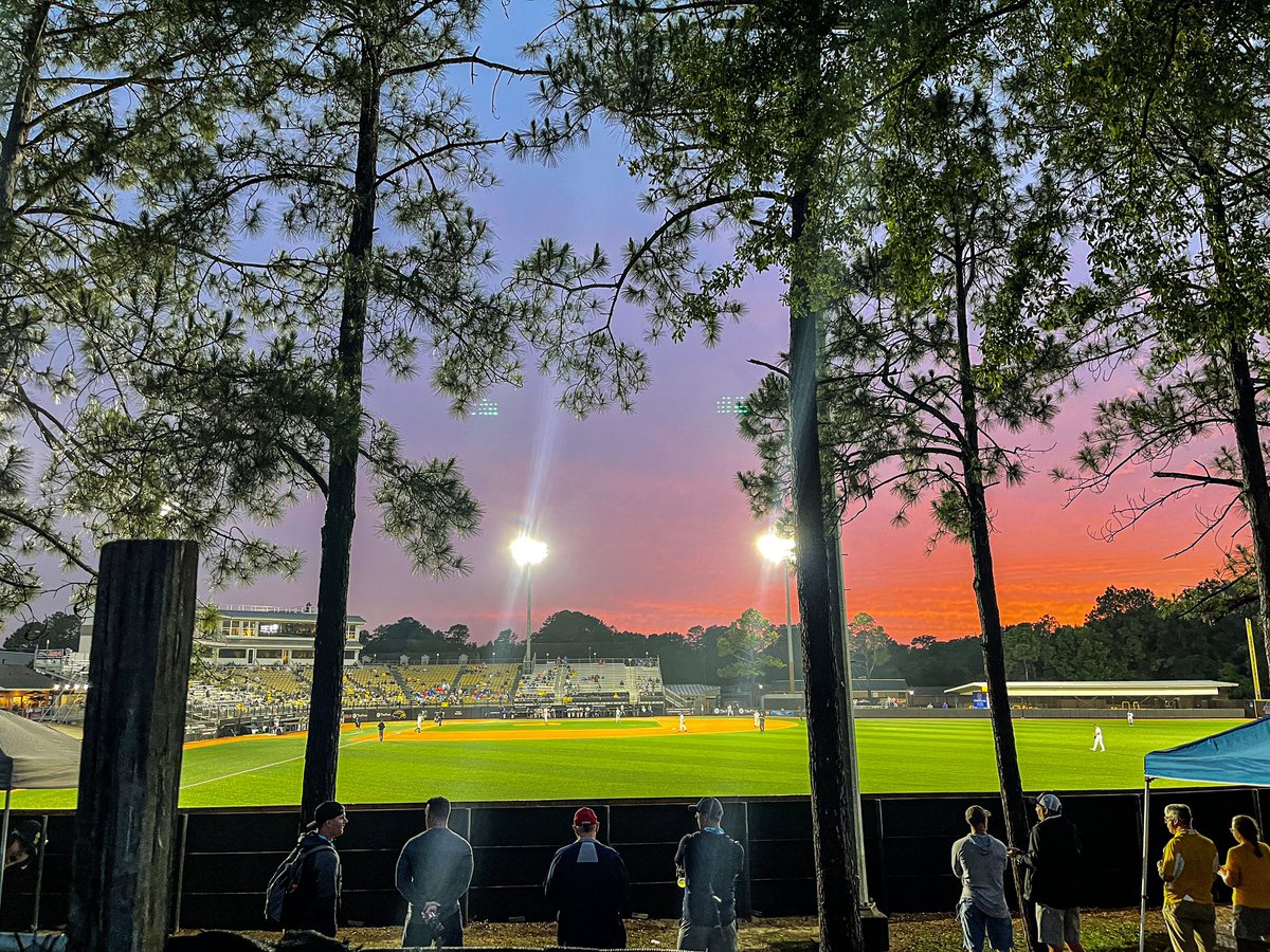 NCAABaseball's tweet image. What a sight! 😍

#NCAABaseball x 📸 @SouthernMissBSB