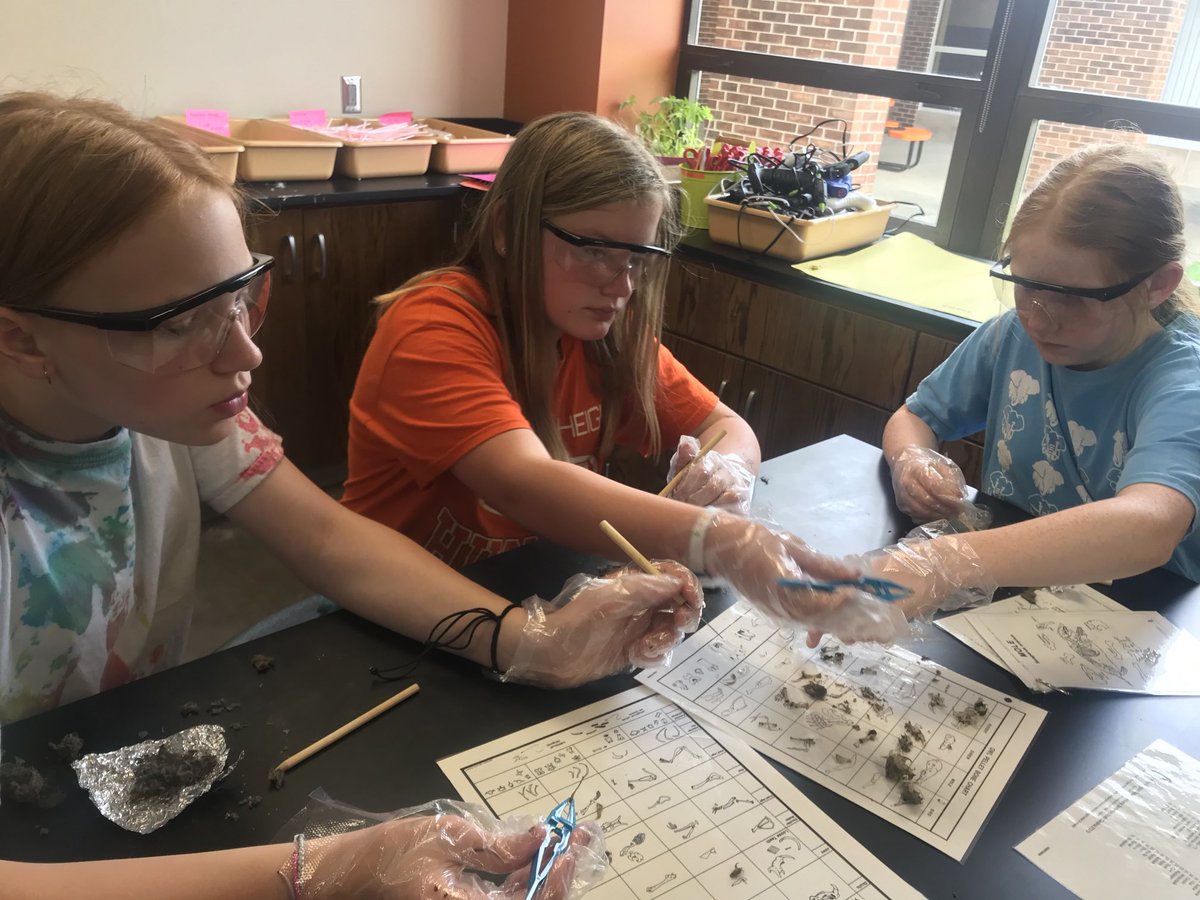 bvkkids's tweet image. Rollercoasters &amp;amp; Owl Pellets 🎢🦉🔎 #WeAreHuskies #msscience