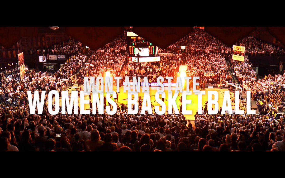 Gentry Baldwin tweet media