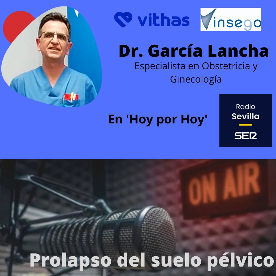 InsegoSevilla's tweet photo. Consulta este vídeo de Instagram de @insegosevilla https://t.co/aiBVCi1Jcx https://t.co/mhC9d4JeoY