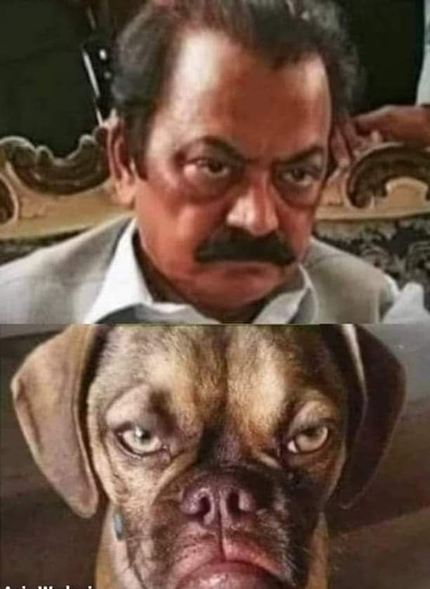 Noman__Ashraf's tweet photo. @chsandhilaa Spot the difference ✌️ https://t.co/YKhw2rjnNp
