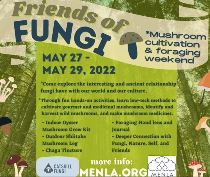 #fungi #fungilove #mushrooms #mushroom #mycology #mycologysociety #mushroomcultivation #mushroomculture #mushroomcult #shroom #catskills #catskillfungi #foraging #mushroomforaging