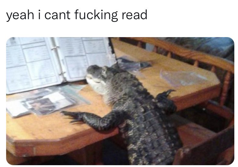 GatorsDaily's tweet image. 