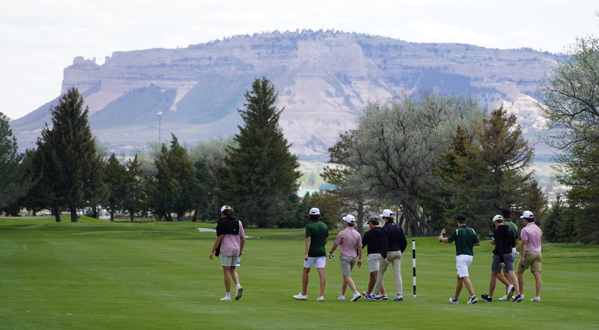 MM Sports&Activities tweet media