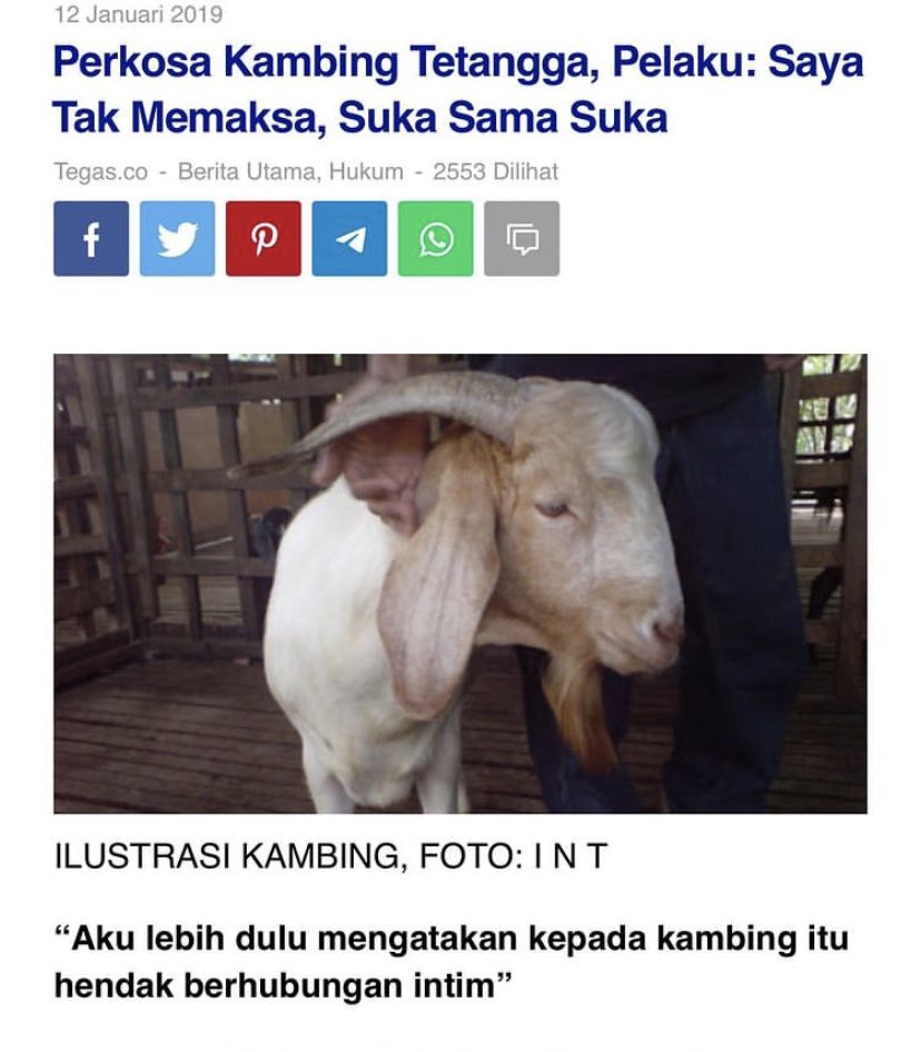 shemkey306's tweet photo. Kalo kayak begini bahaya nih, SELINGKUHnya sama kambing, Jatah malunya seumur hidup sdh diambil semua🤣🤣🤣🤣 https://t.co/CxgNpYFiYd