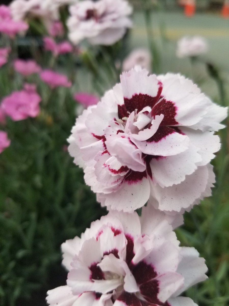 An evening filled with delicious #italian 🇮🇹 #food and #wine 🥂🍷 <a href="/A_tavola_/">A Tavola</a> #Winchester