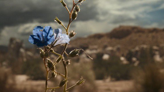 odenhead's tweet photo. Better Call Saul S6 part 1 was top tier TV https://t.co/RCsHpYrLS0