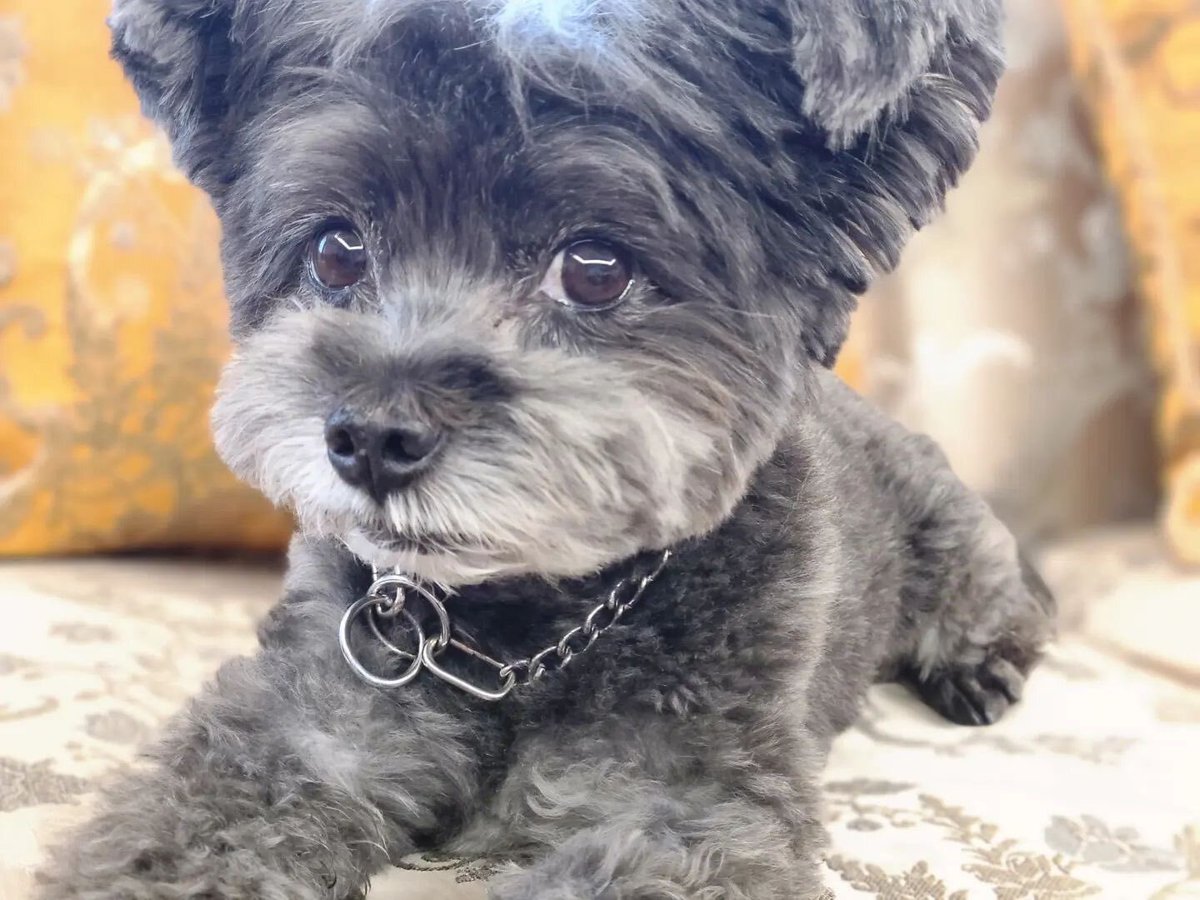 토리 변천사 보면 눈물날 지경 😭