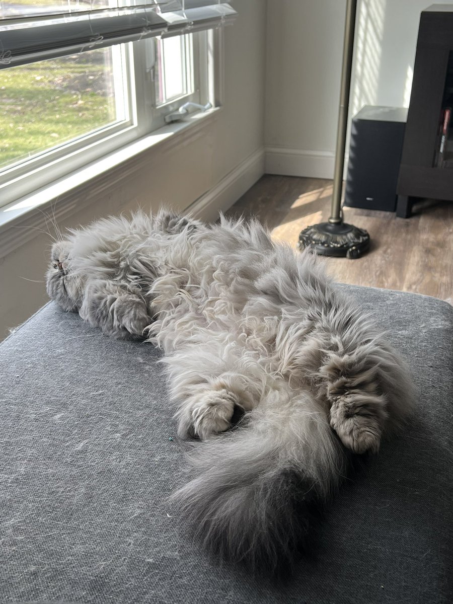 <a href="/relicofthepast/">Relic of the Past Podcast</a> <a href="/PenanceRPG/">Penance RPG 🐉 🏳️‍🌈 🐀</a> <a href="/WebWitch81000/">👾 Nearly Blind Nut is Back?! 😹</a> <a href="/StackODice/">Stack 🌻 Dice</a> <a href="/AnitaBridges2/">Anita Bridges</a> <a href="/xb0shi3x/">Brandalf the Blonde</a> <a href="/tykashow/">🐋</a> <a href="/DeGustafson/">Derek Gustafson (he/him) is Catface Games</a> @lionsoflegend <a href="/pwp_dnd/">🪄Power Word: Play🔥</a> <a href="/adora_belleD/">🇬🇧🇳🇿</a> <a href="/Stories_bySarah/">Sarah Danielle</a> <a href="/NSFWActualPlay/">Not Safe For Wizards</a> @DangerDames @TheDice_Casters <a href="/brainytherpgcat/">Brainy The RPG Cat</a> I swear this little dude is living the life