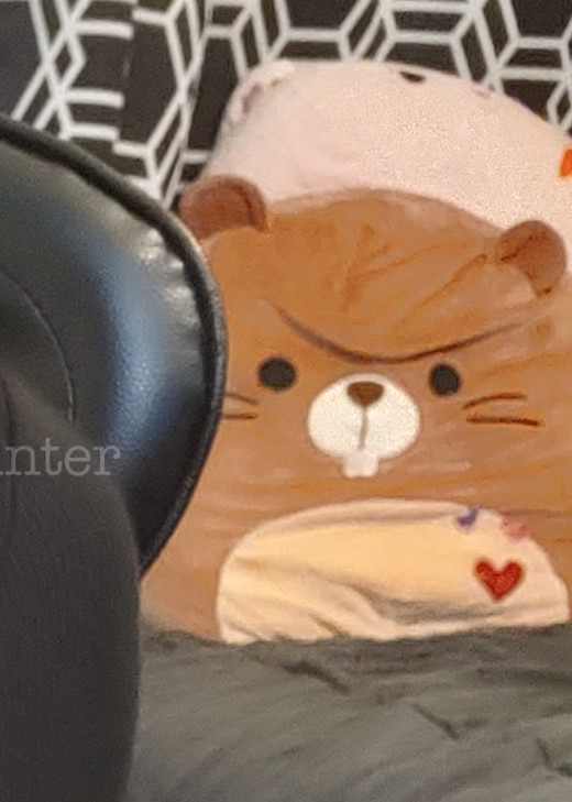 Content from aria_a_winter