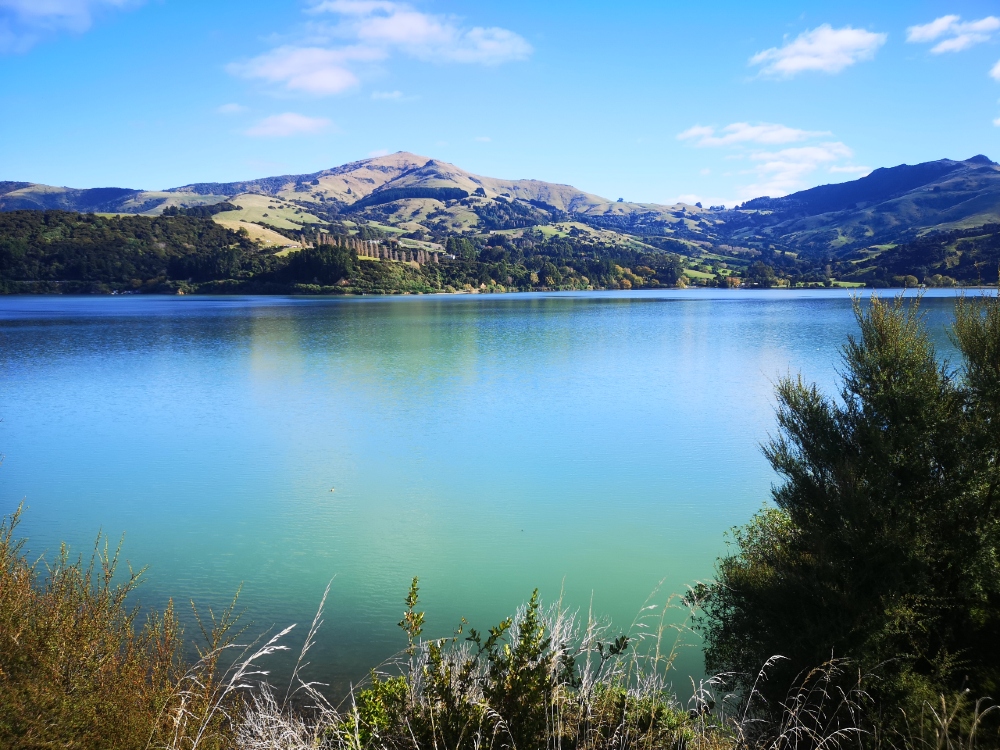 MyGuideNZ's tweet photo. The best 3 walks that take less than an hour in #NewZealand 
1.  #Glenorchy Loop Walk
2. Mount #Maunganui Walk
3. Onawe Track, #Akaroa https://t.co/CIpGLciDU4