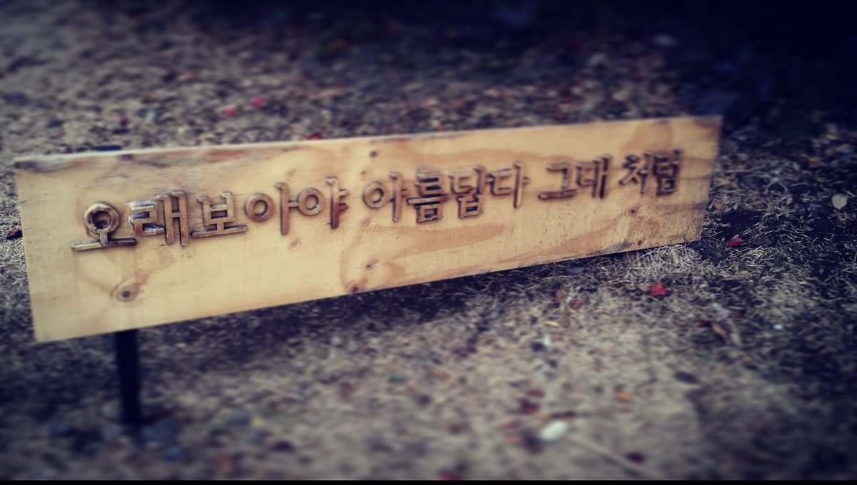이용민 (@leeyongmin0916) on Twitter photo 
