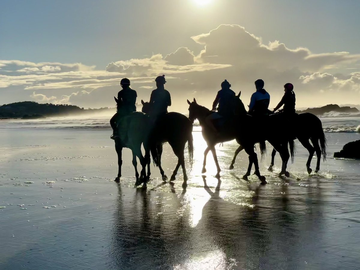 RacingShailer's tweet photo. 🌅🐎👀🙌 Early morning beach work
https://t.co/1YXifeoWzv
#ShailerRacing #beachlife #beachvibes #beach #thriving #beachwork #greatenvironment #thoroughbred #training #horses #racehorses #getinvolved #racing #racehorse #racehorsetrainer #thoroughbreds #horseracing https://t.co/qGuPSpf2w2