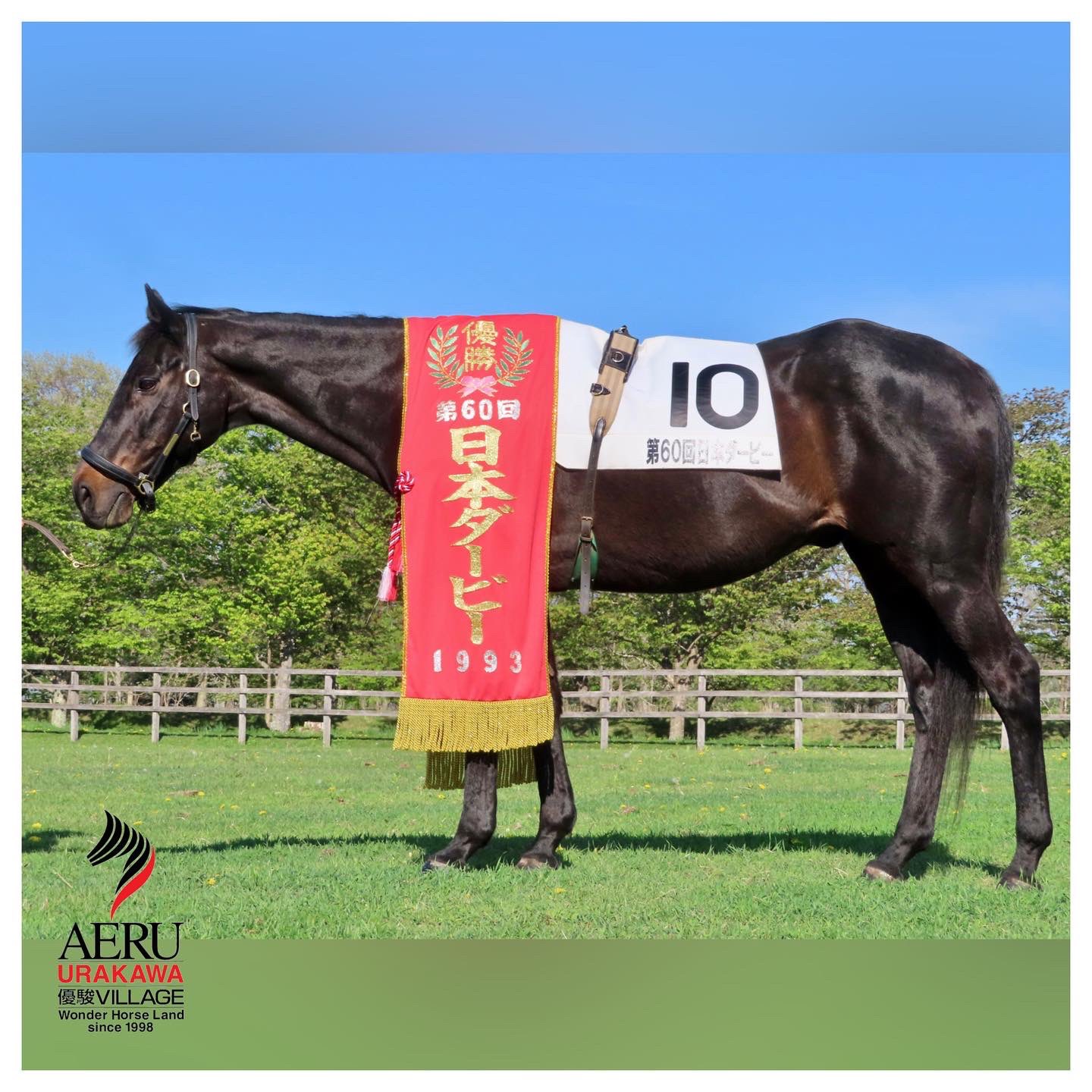 [激レア・レトロ]ウイニングチケット ダービー仕様 日本ダービー優勝記念 うらかわ優駿ビレッジAERU on X: 