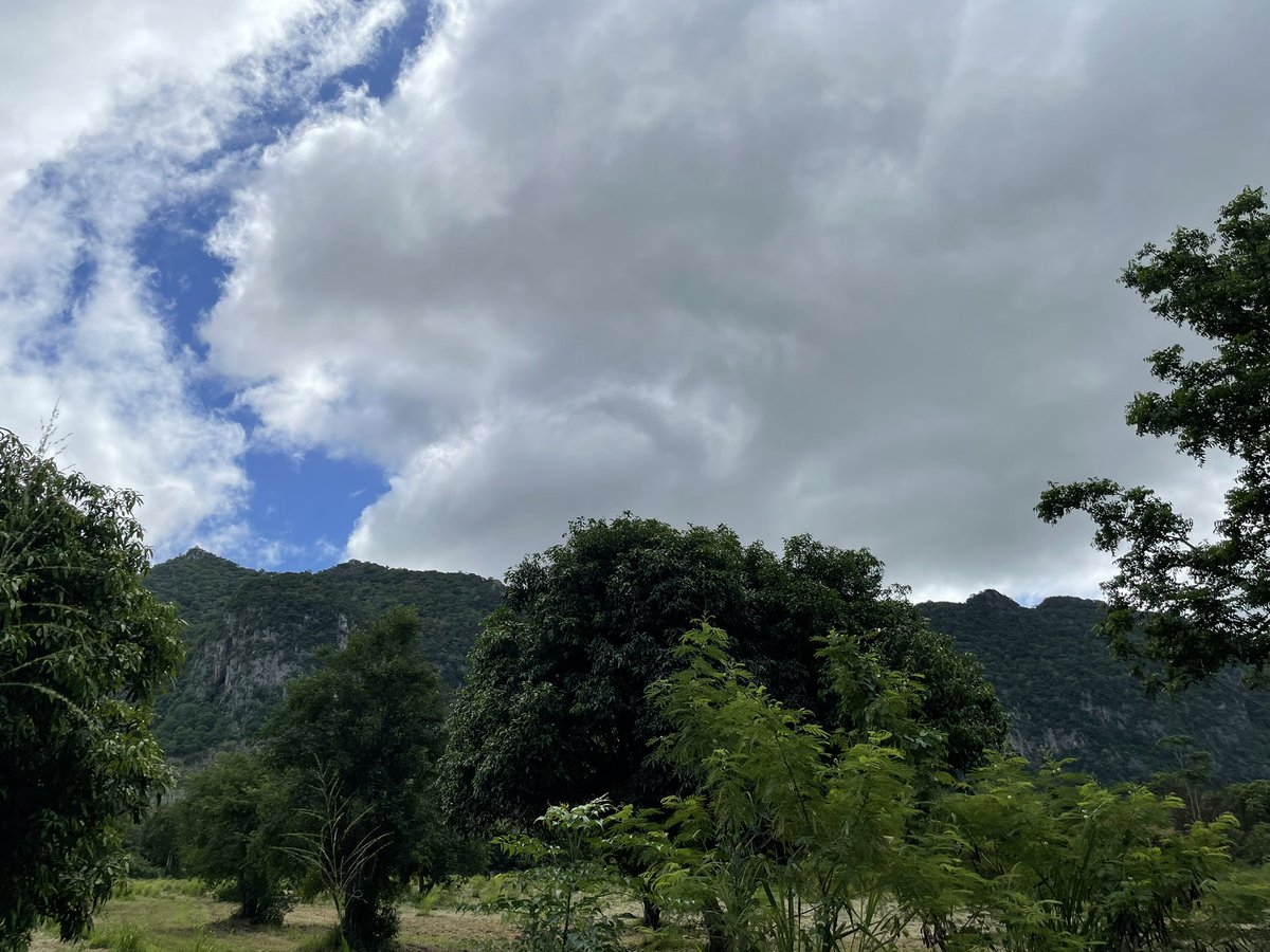 SilentoKuri's tweet photo. ☁️🌧 https://t.co/PQTFzqbNLv