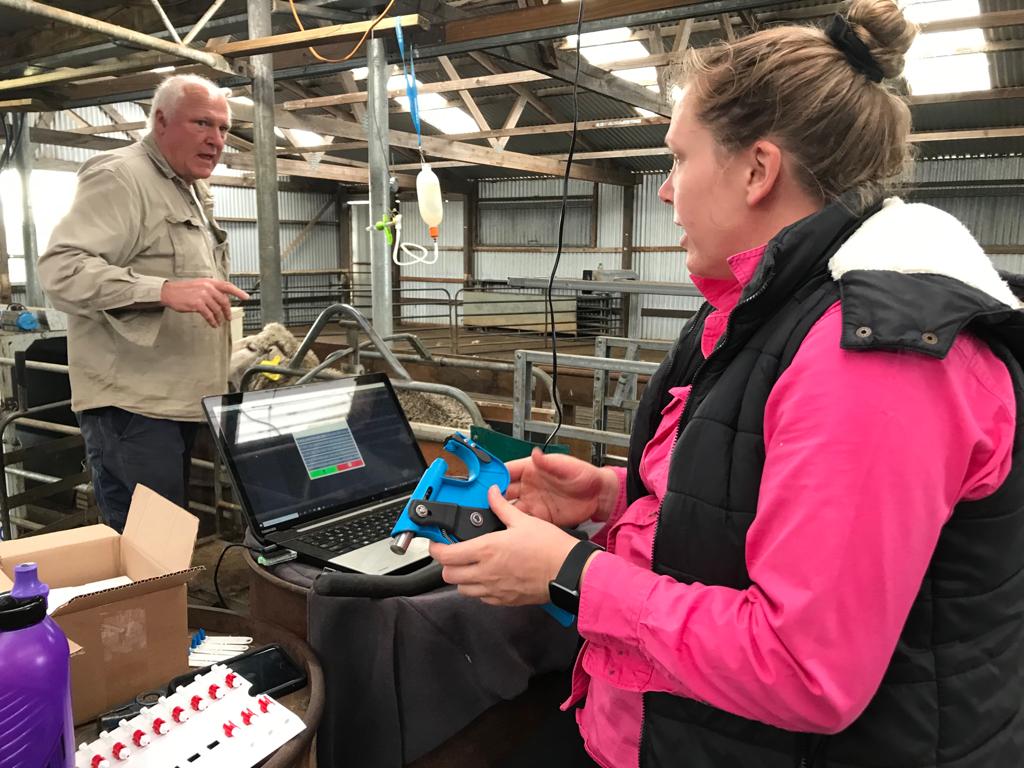deep_dene_KI's tweet photo. We're going to play, whose your Mum, with our Nucleus lambs this year.
 
#TSU #pedigreesheep #sheepgenetics #MerinoSA #MERINOSELECT #lambspamtocome #BreedElitesoftwareforthewin 

Samples on their way to Neogen Australasia - Genomics &amp; Animal Safety 

#toopregnanttocatchlambs https://t.co/3sH99ENoEz