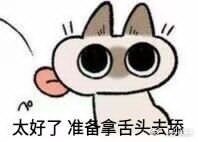 回坑方舟第一天