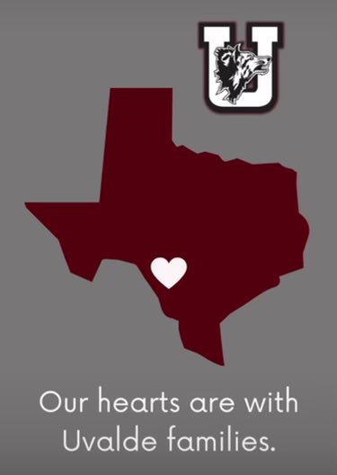 Education is Freedom tweet media