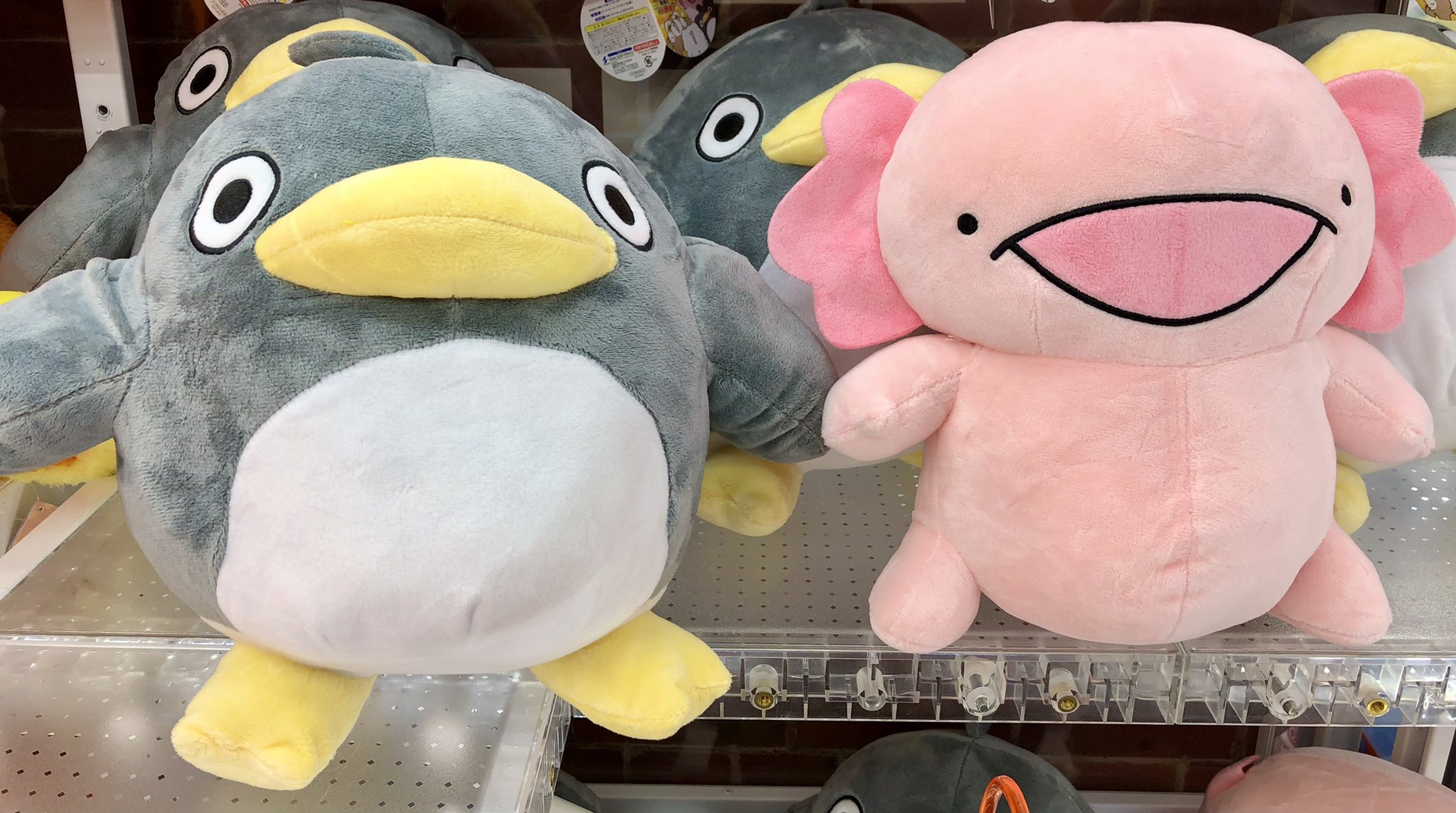 タイステ浅草店 景品情報 からめる Gb ぬいぐるみ ペンギン ウーパールーパー を入荷しました 全2種ございます タイトー 浅草 ポケモン からめる ウーパールーパー T Co Zzf5etpu1p Twitter タイステ浅草店 景品情報 からめる Gb ぬいぐるみ ペンギン ウーパールーパー を入荷しました 全2種ございます タイトー 浅草 ポケモン からめる ウーパールーパー T Co Zzf5etpu1p Twitter
