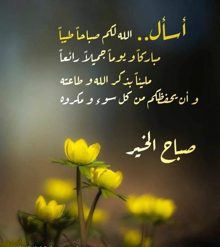 Dedalzolm2's tweet photo. @alamal_4 https://t.co/Lfd5bP24CX