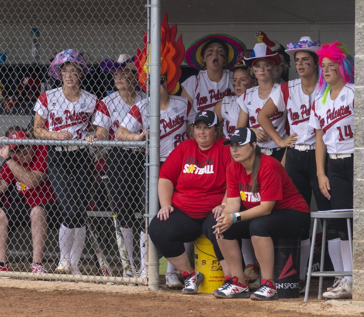 Brian_Haenchen's tweet photo. Here’s @NPDragonsSball's @CoachEdMarcum on this year’s @NPHSDragons team and seniors @2022Alaina, @katiekottlowsk2, @alexa_holman, @dbarton830 and @graceepaquettee.
📷: @bobscheer https://t.co/nYOOlrmr7v