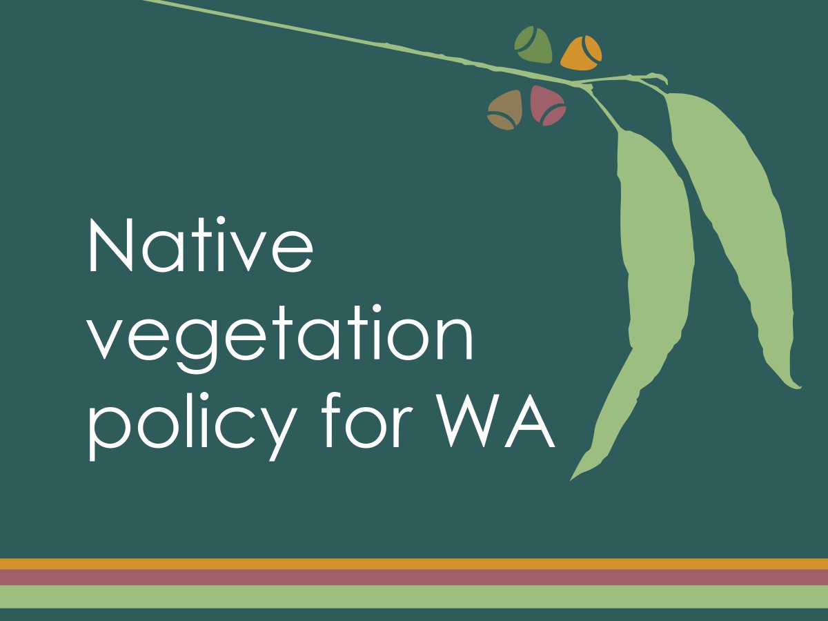 Western Australia enters a new era of improved protection and management of our state’s unique native vegetation with the release of WA’s first Native Vegetation Policy. Find out more: ow.ly/Kmfc50JifMo #NativeVegetation