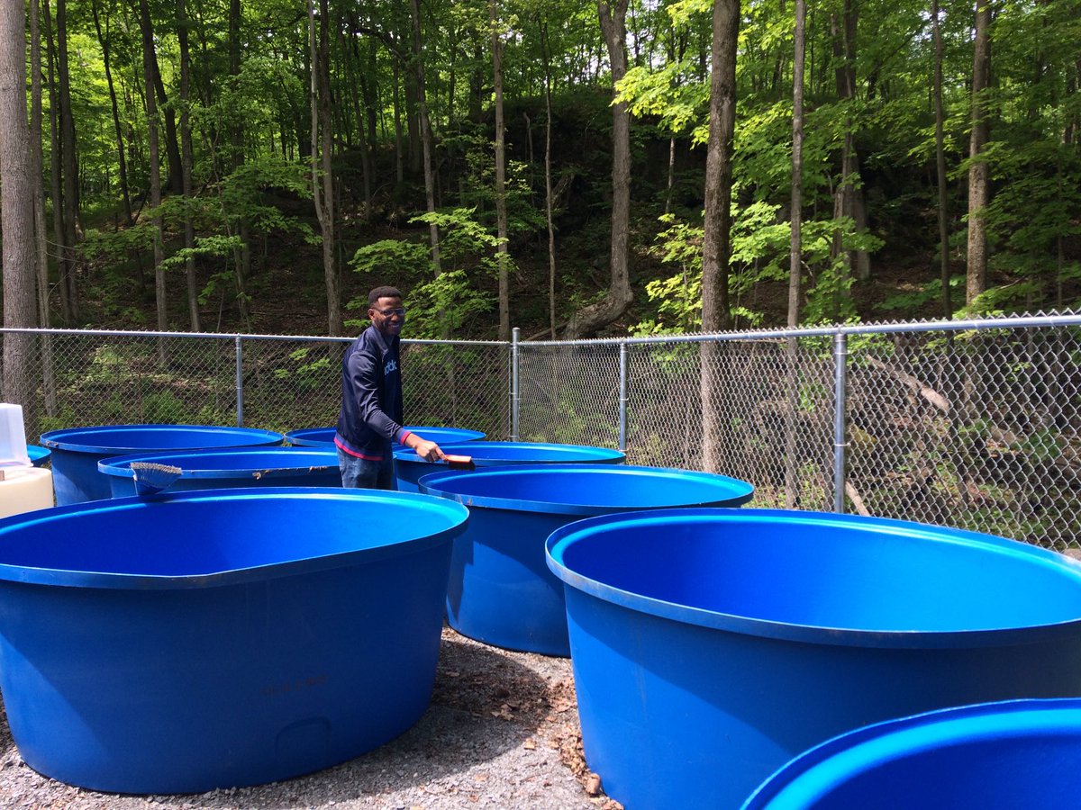 Diane Orihel tweet media