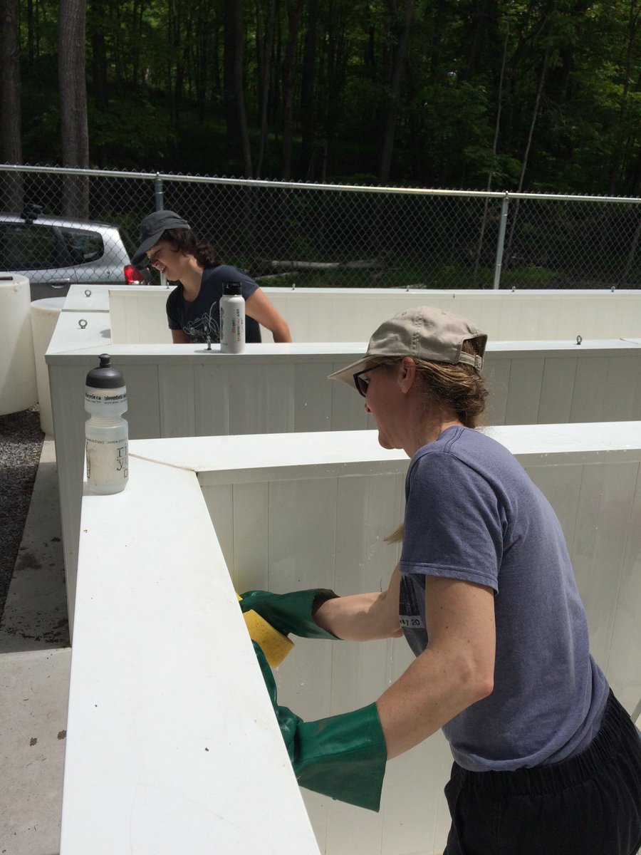 Diane Orihel tweet media