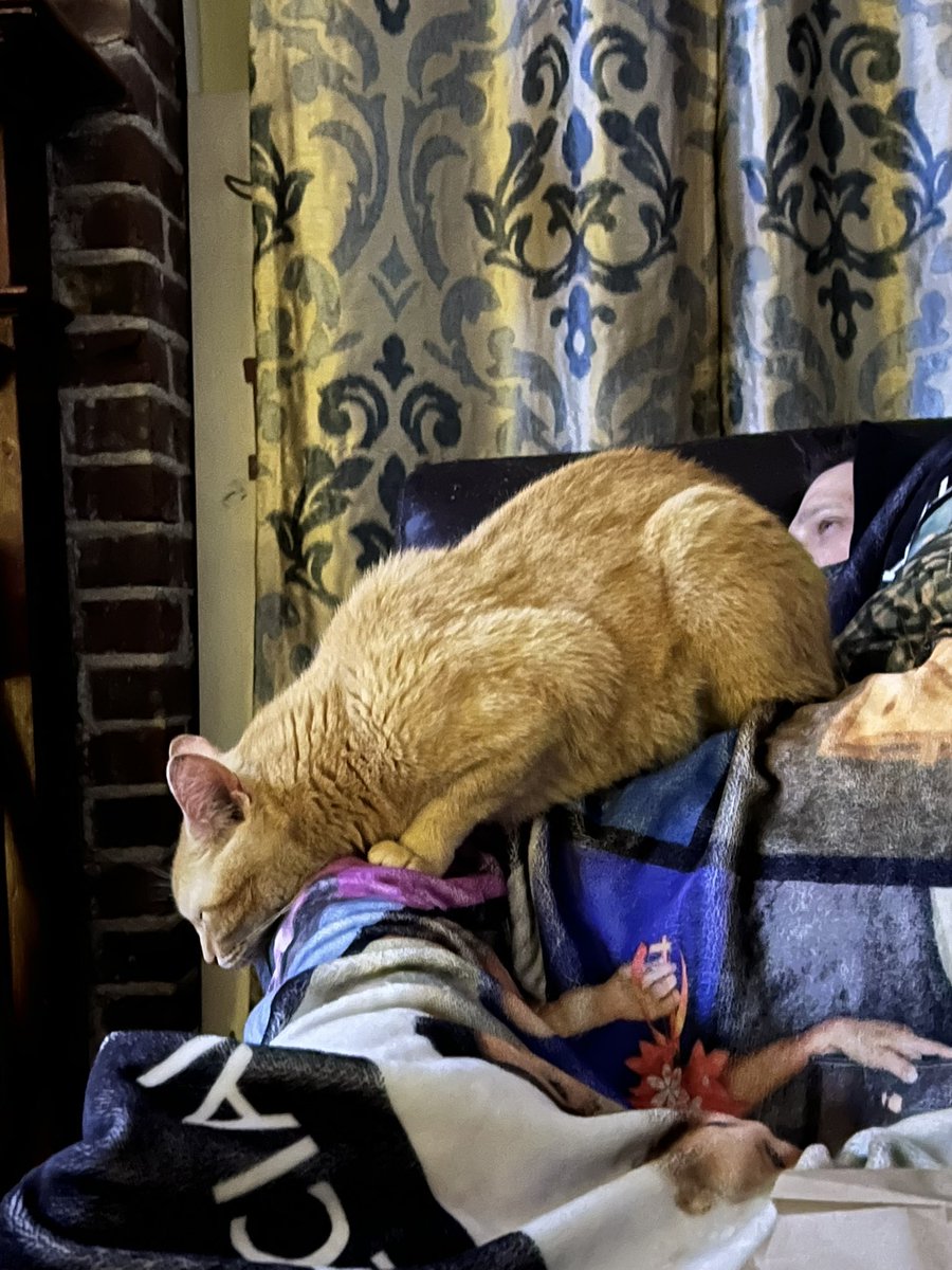 Ashlea_Doyle's tweet photo. He doesn’t look comfortable at all! 😹 #LayingOnDada @matthew82787 #WatchingSonic2 #MarriedLife #DadasBoy #ForNow #SimbaSandersonBrowning #SmittenWithOurKitten #LoveHim https://t.co/7OdOfTmTcQ