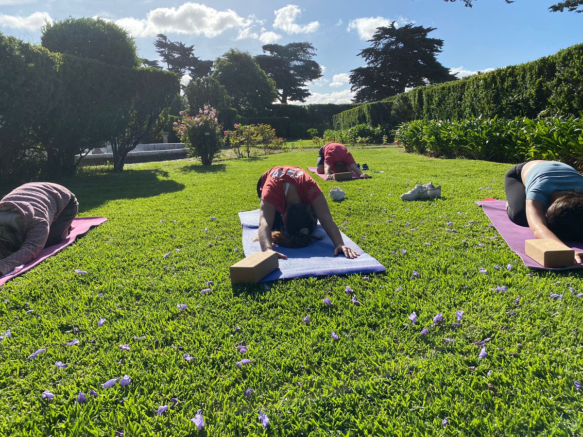 StJuliansPSHE's tweet photo. What better way to help our Y12 students stay balanced than to let them choose a physical activity to do during their H&amp;C lesson before their exams. #StJuliansIB #TheJoyOfLearning #PSHE @StJuliansLisbon https://t.co/bb8jQi32XS