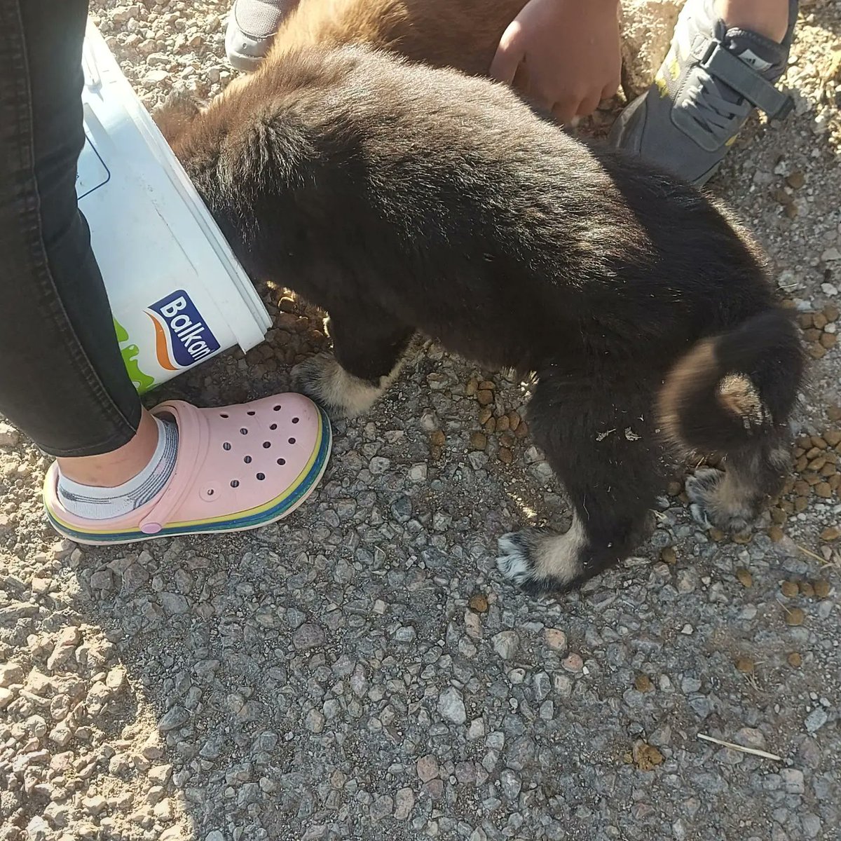 Ankara yuva. Gölbaşı ikizce köyü ne atılmış 2 erkek koca patili bebek.  0537 7615404