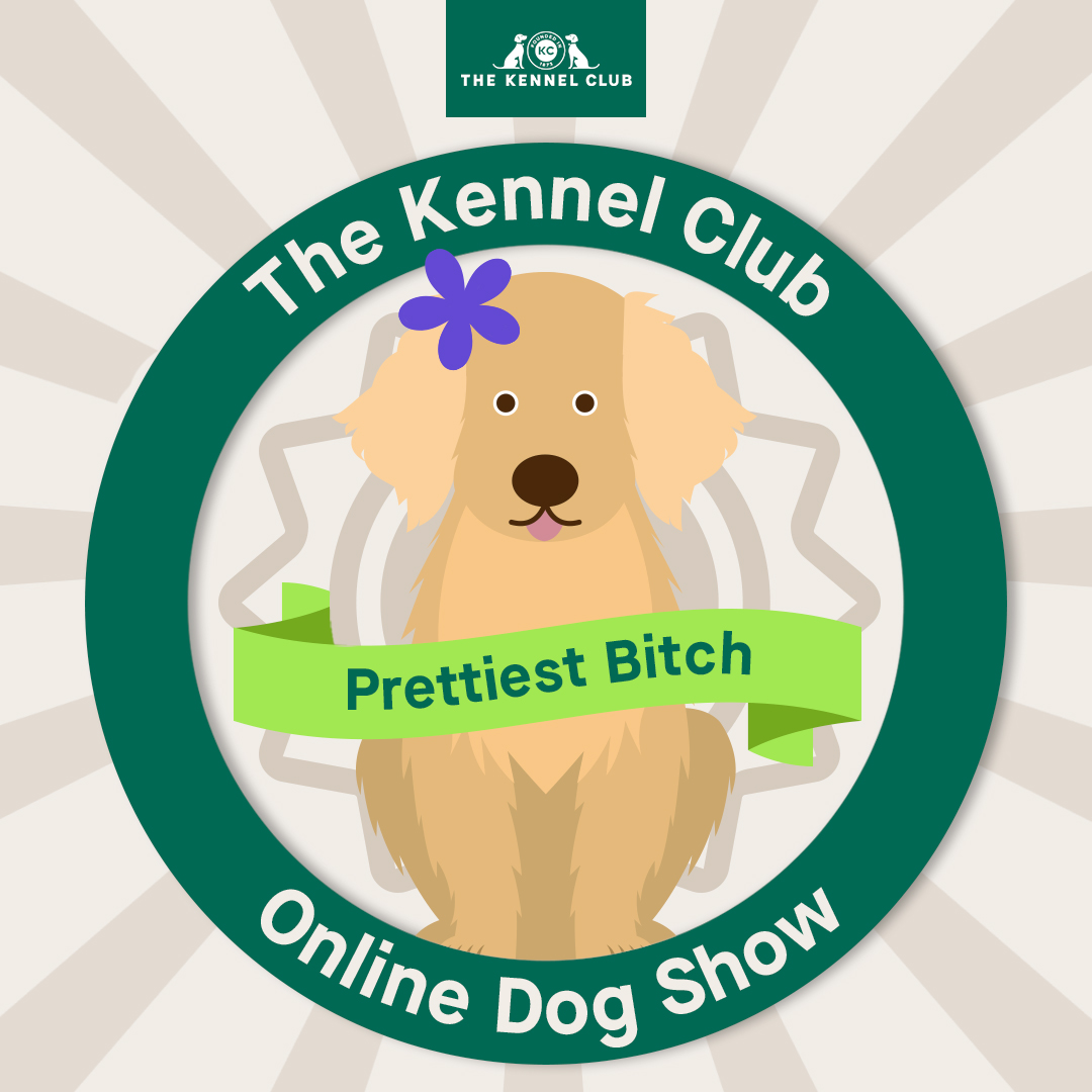 The Kennel Club on Twitter "Has your dog got what it takes to be The