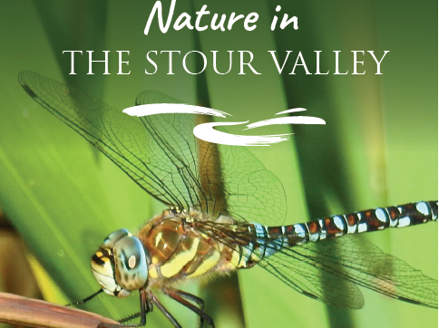 DedhamValeNL's tweet photo. Explore the network of designated wildlife sites, nature reserves, protected areas, and Sites of Special Scientific Interest throughout the Stour Valley

It's home to over 1500 plant species, 175 bird and almost 1000 moth species!

Download our guide 👇
https://t.co/WdsUoIrbyw https://t.co/J9BaBkuBxI