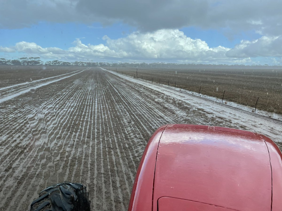 Craig Ayles tweet media