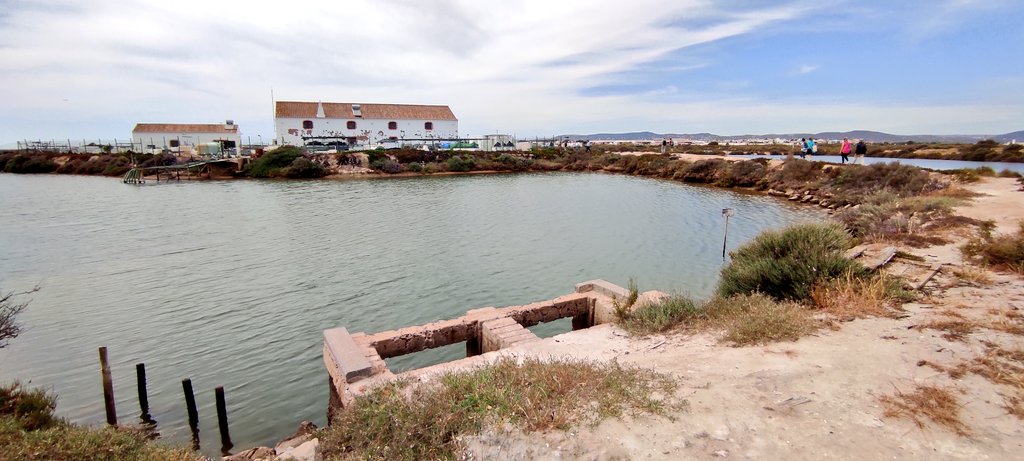 PiE-UPV/EHU tweet media