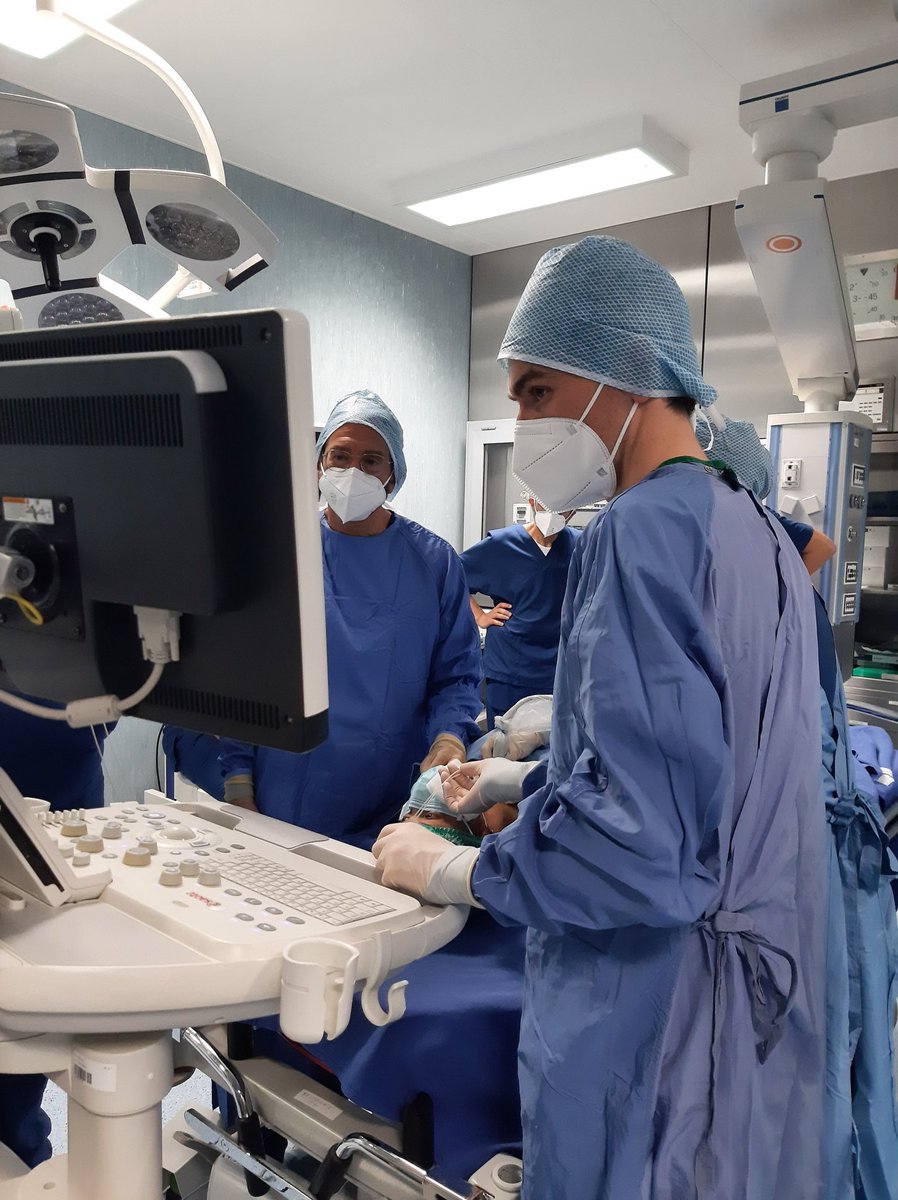 Elesta SpA tweet media